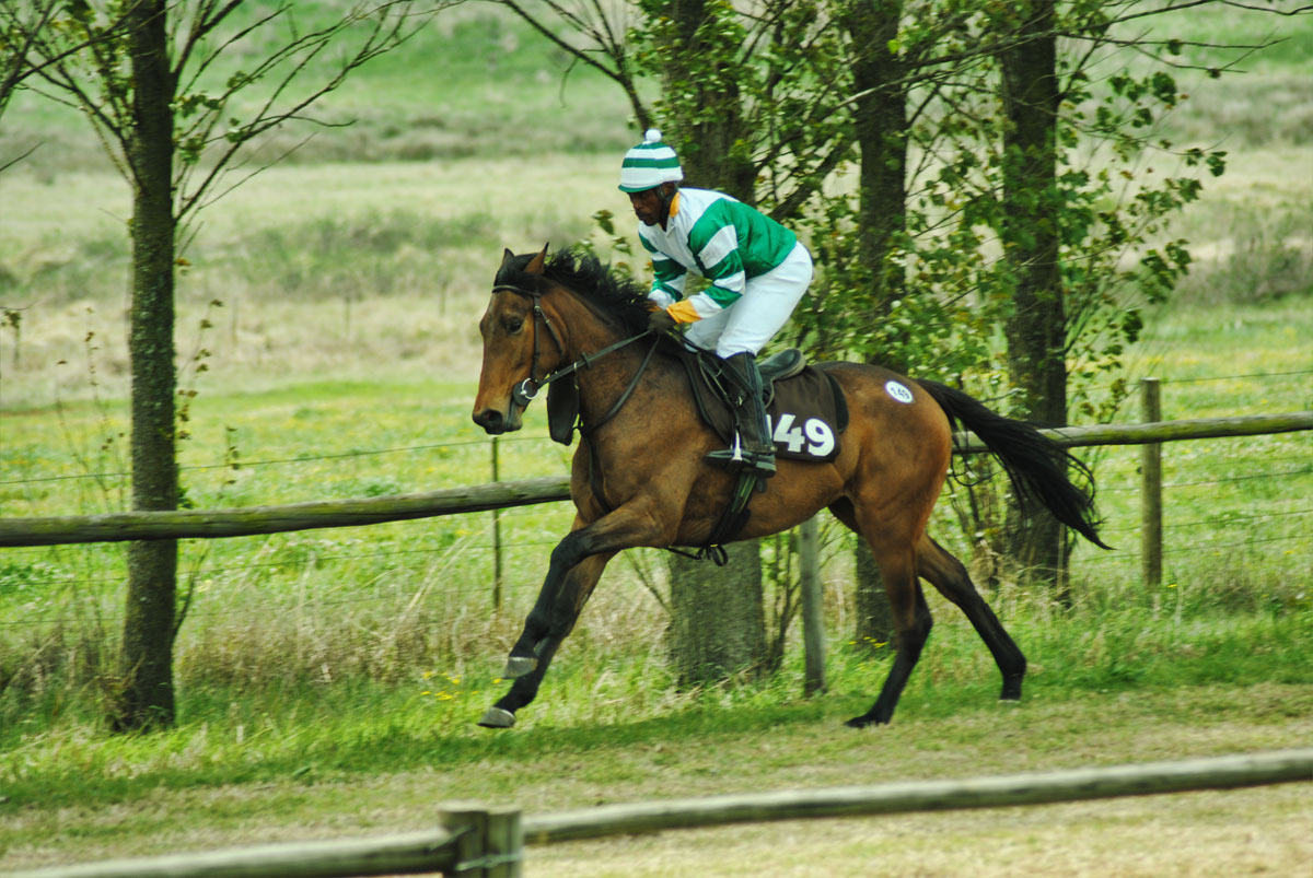 ready-to-run-gallops-44.jpg