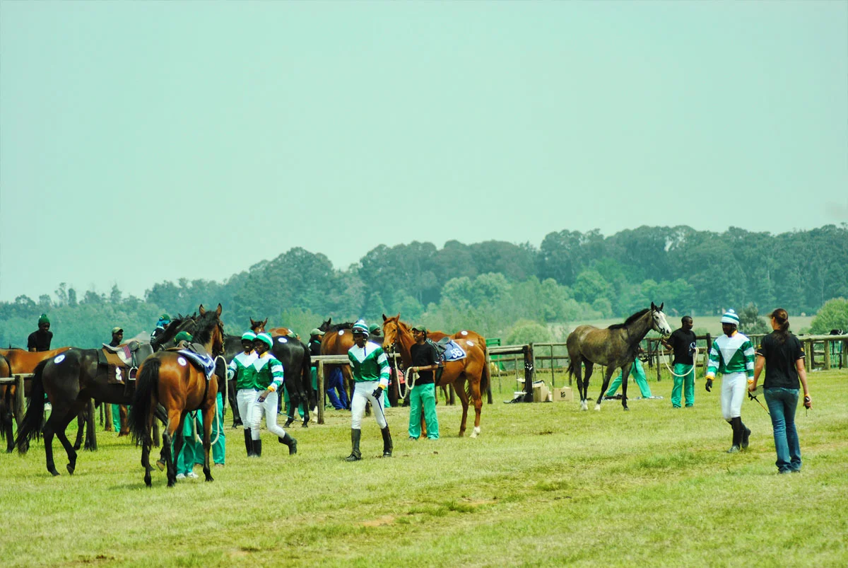 ready-to-run-gallops-47.jpg