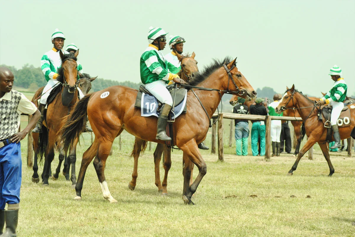 ready-to-run-gallops-42.jpg