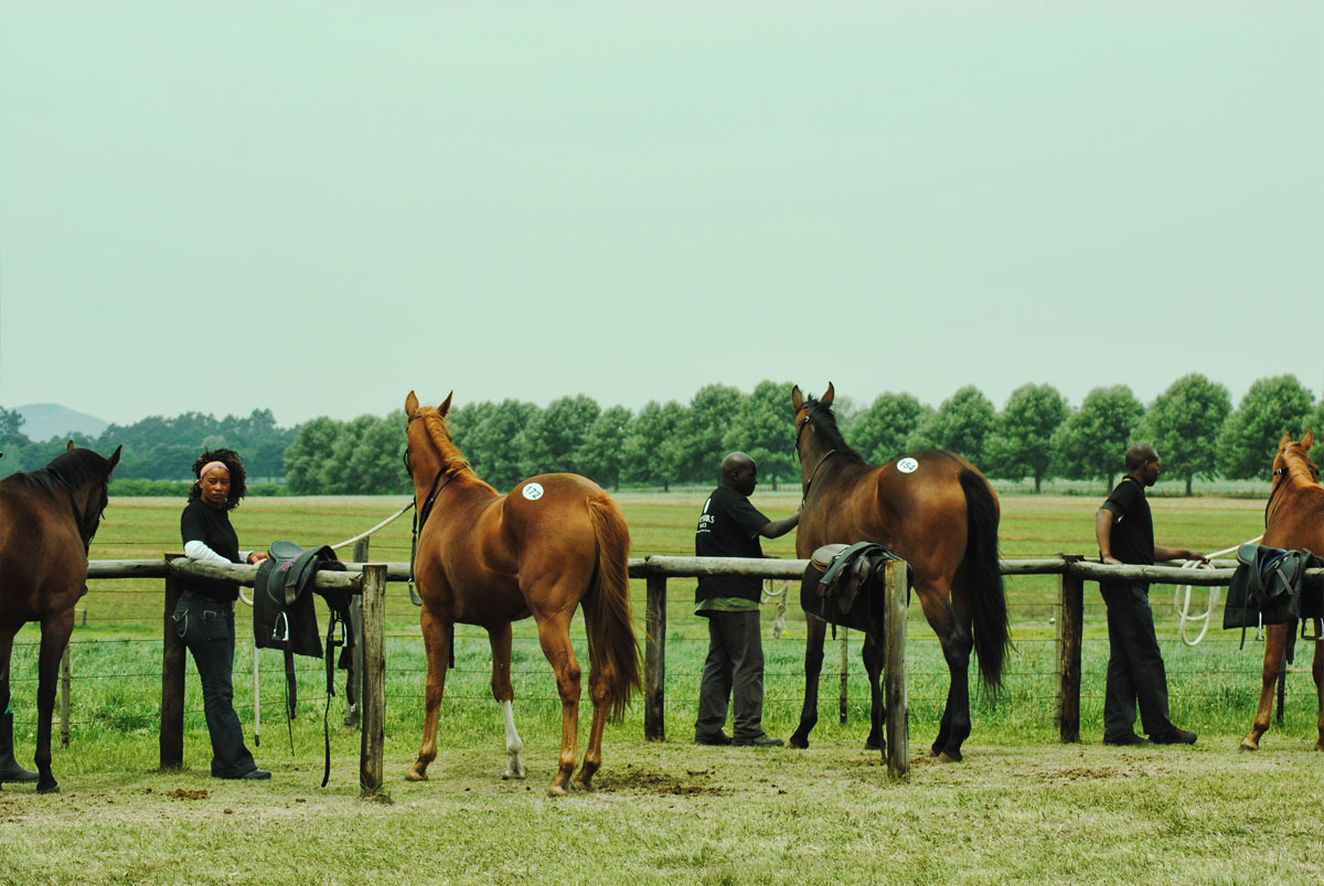 ready-to-run-gallops-41.jpg