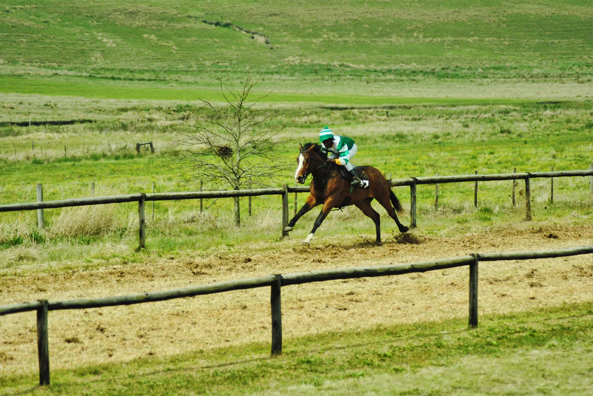 ready-to-run-gallops-29.jpg