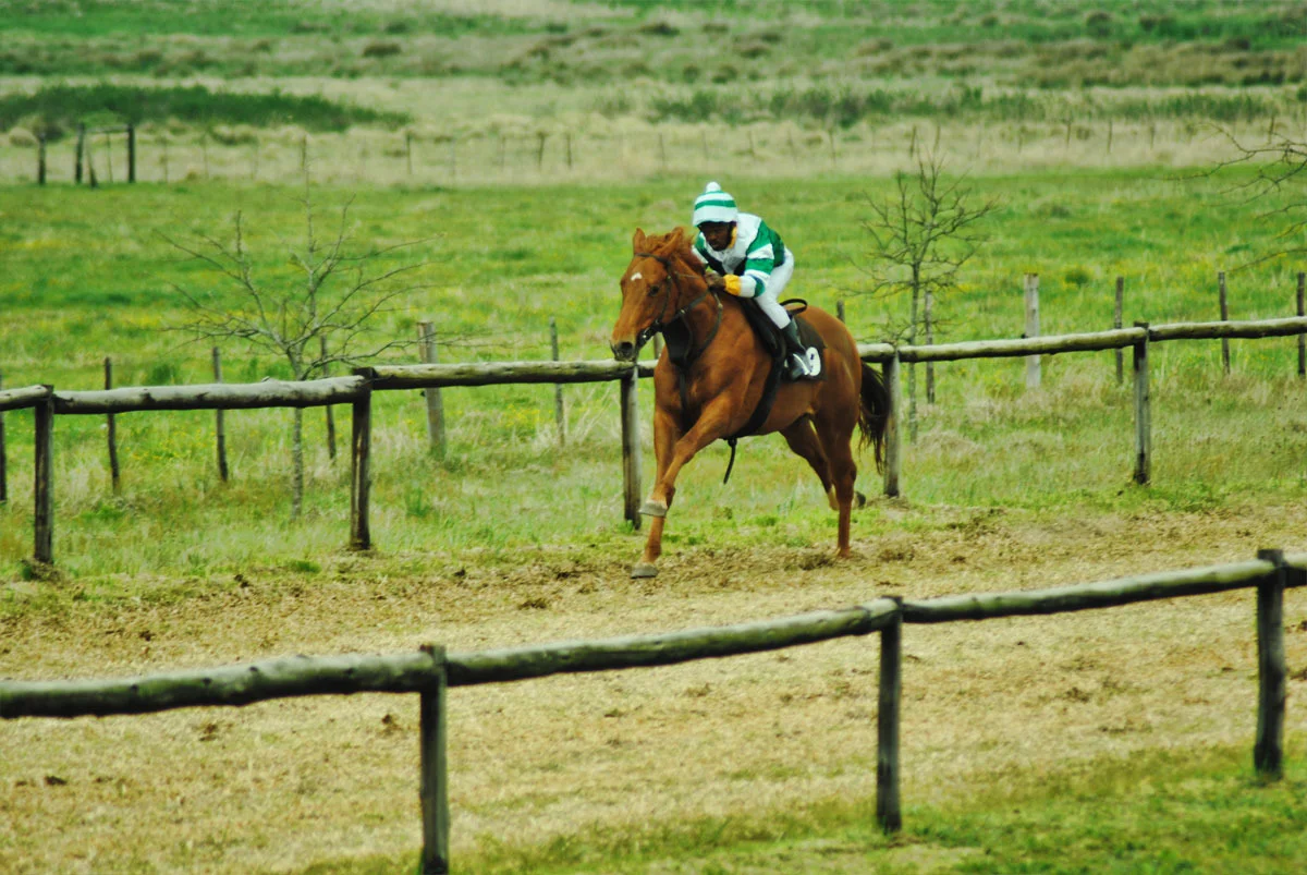 ready-to-run-gallops-27.jpg