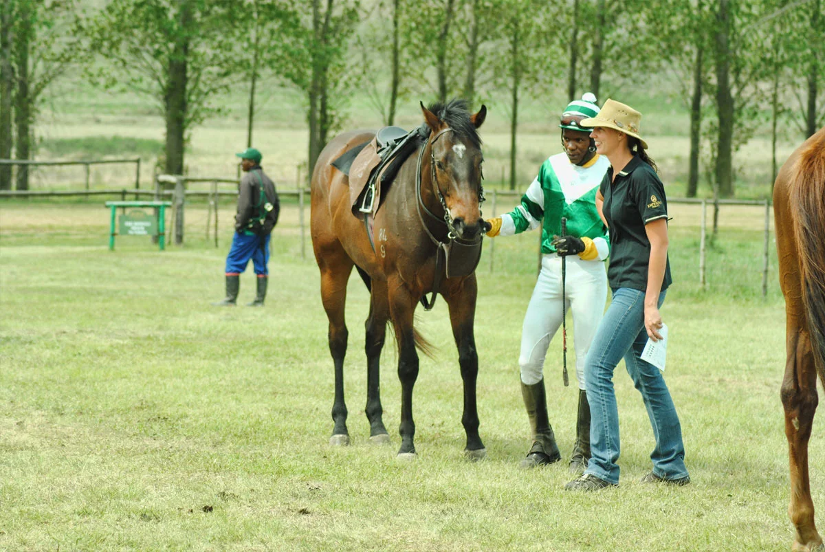 ready-to-run-gallops-20.jpg