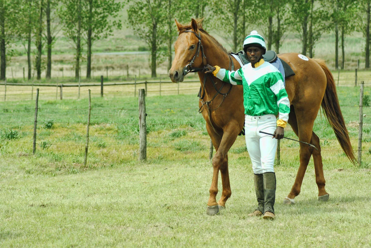ready-to-run-gallops-19.jpg