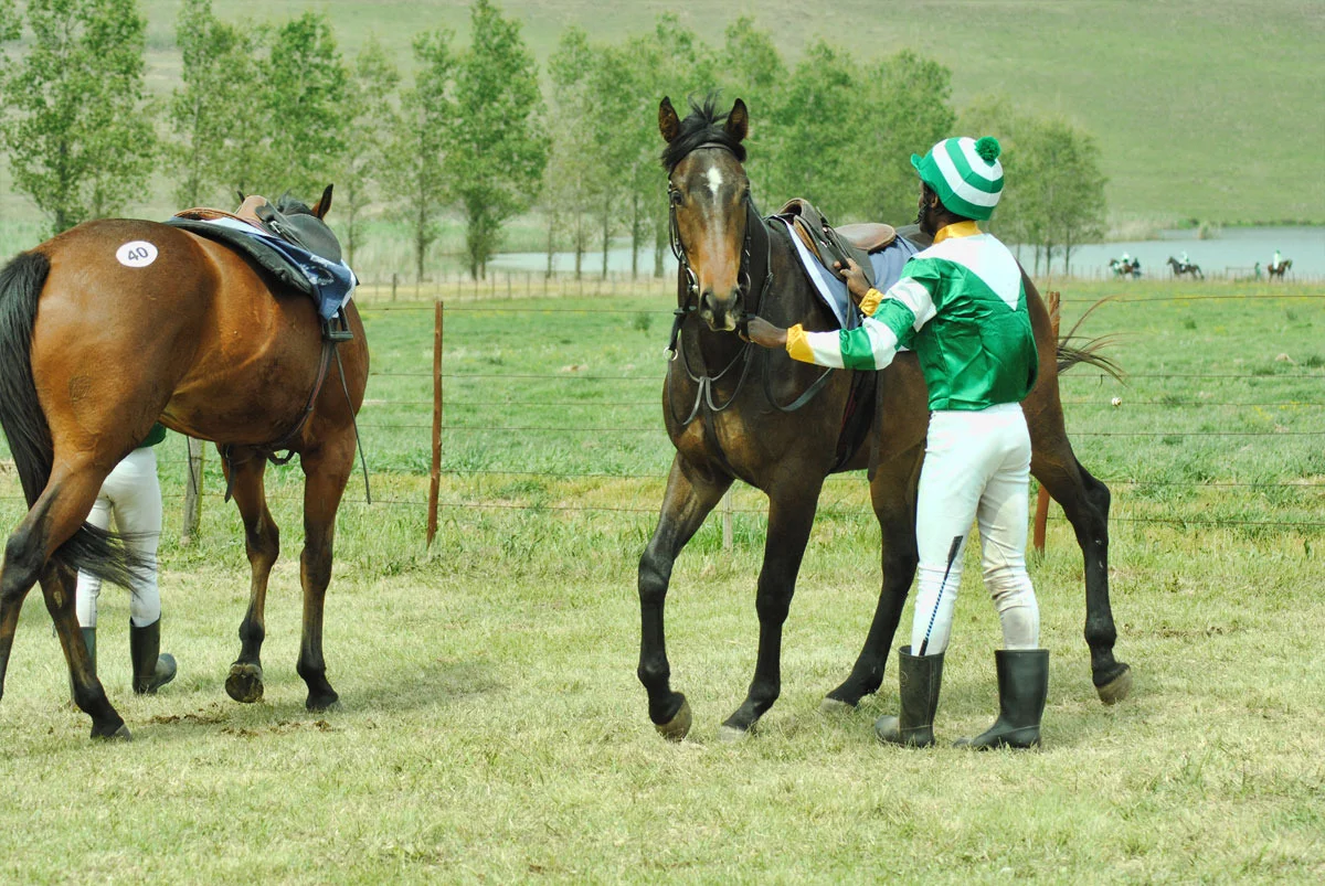 ready-to-run-gallops-18.jpg