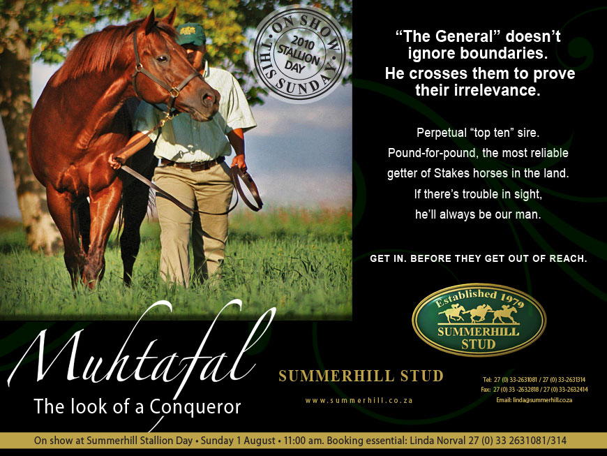 MUHTAFAL - SUMMERHILL STALLION DAY