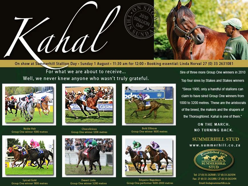 KAHAL - SUMMERHILL STALLION DAY