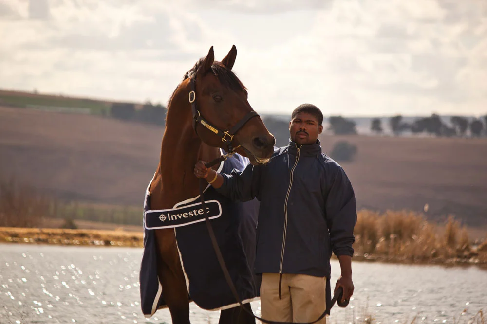 investec stallion day