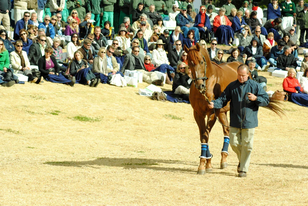 investec stallion parade
