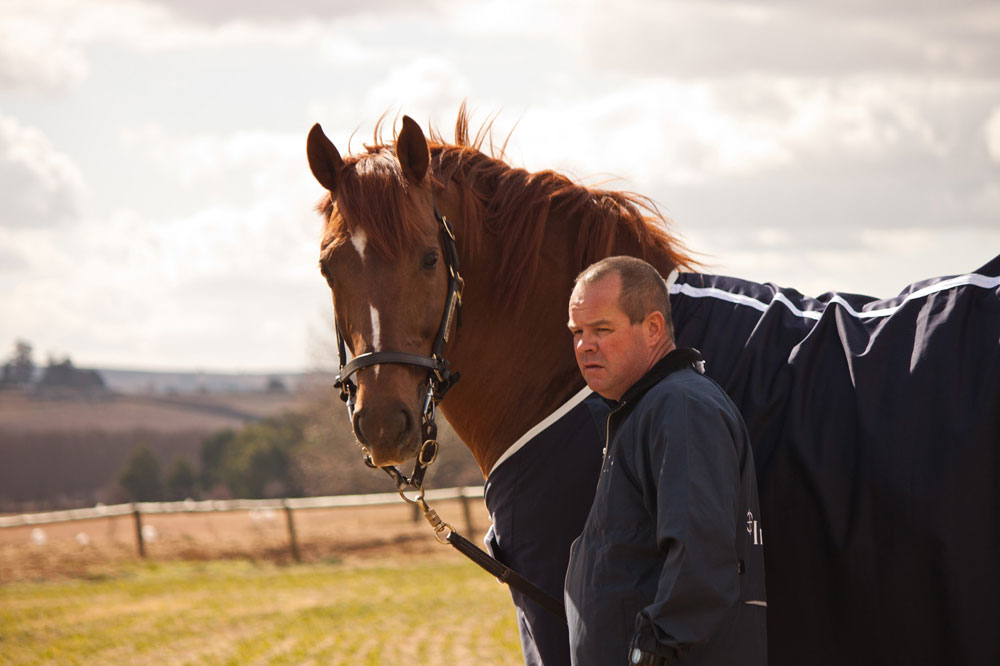 greig muir stallion manager