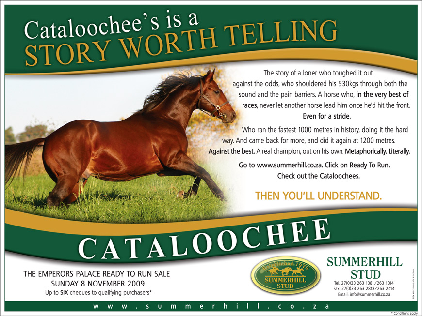 Cataloochee's is a story worth telling