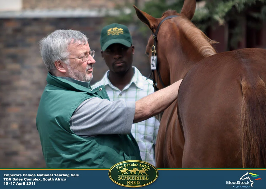 david-allen-national-yearling-sale.jpg
