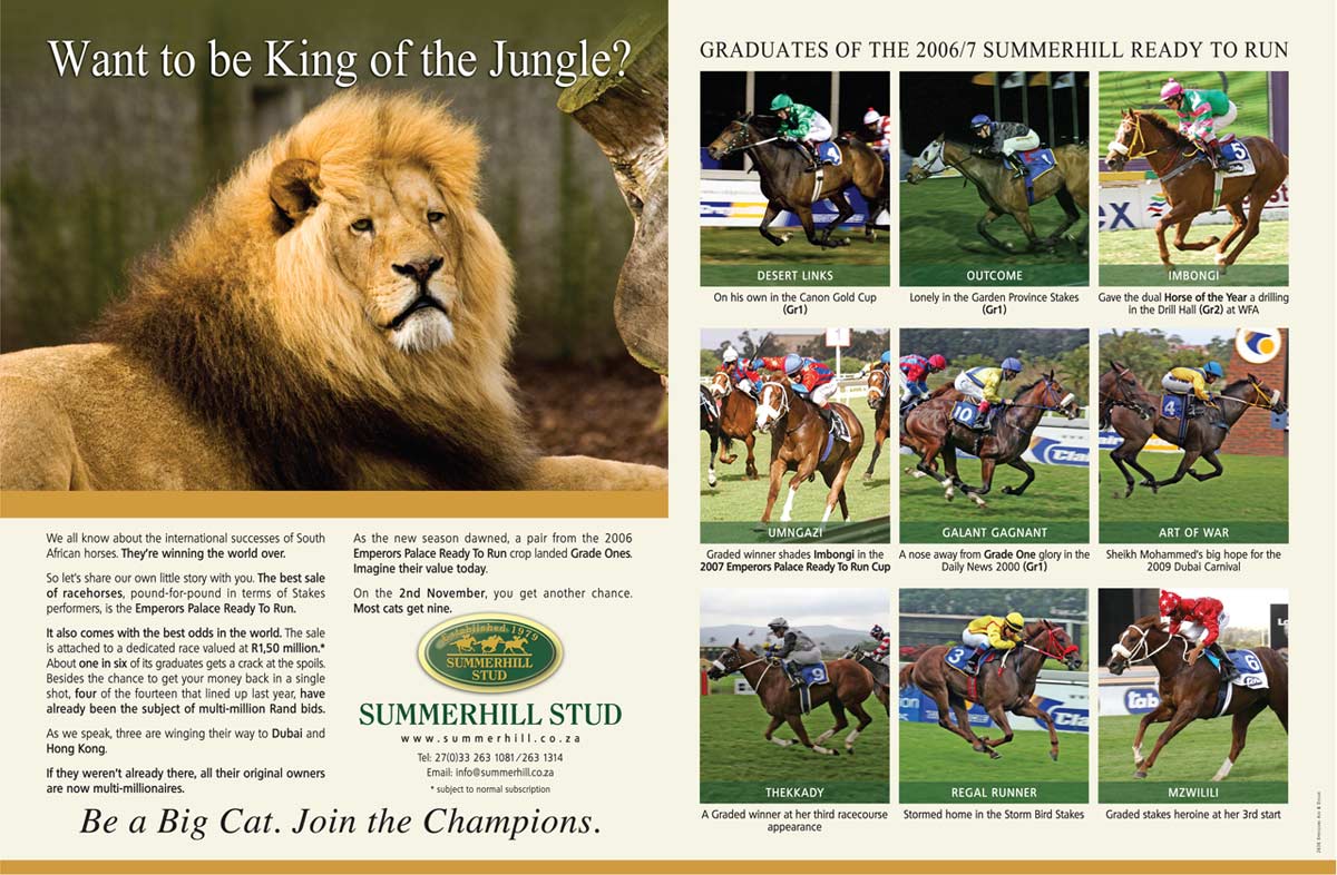 Be a Big Cat. Join the Champions.