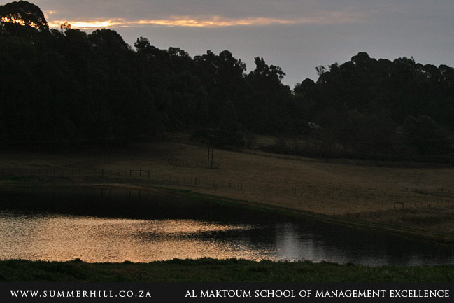 soe-new-dam-5-july-2009-11.jpg