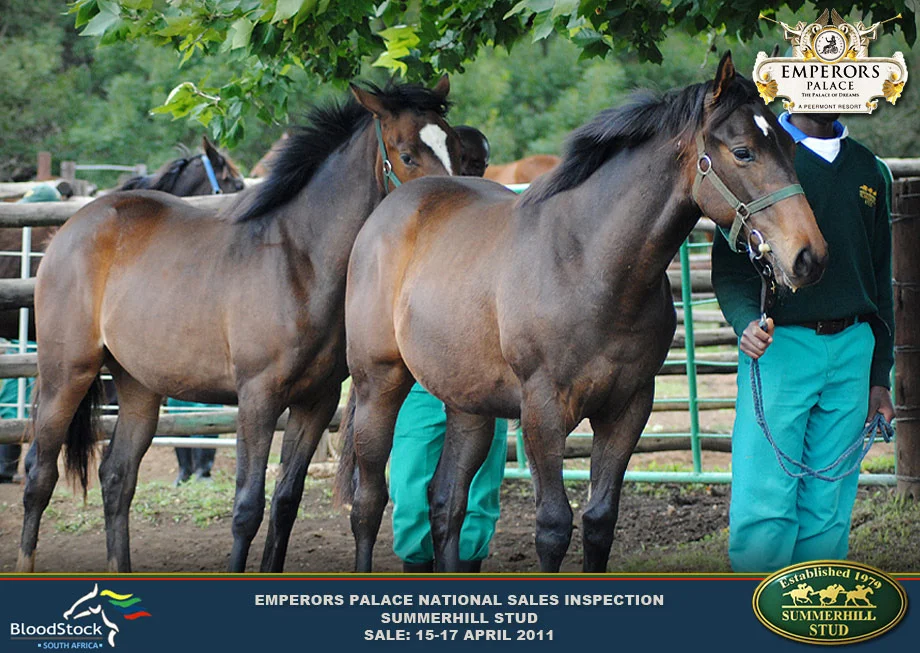 national-sales-inspection-2010-13.jpg
