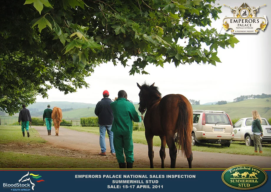 national-sales-inspection-2010-4.jpg