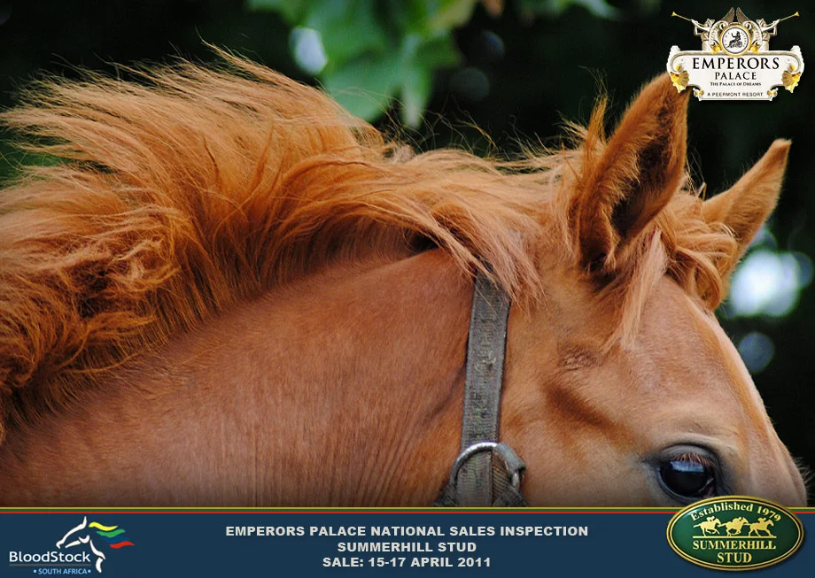 national-sales-inspection-2010-9.jpg