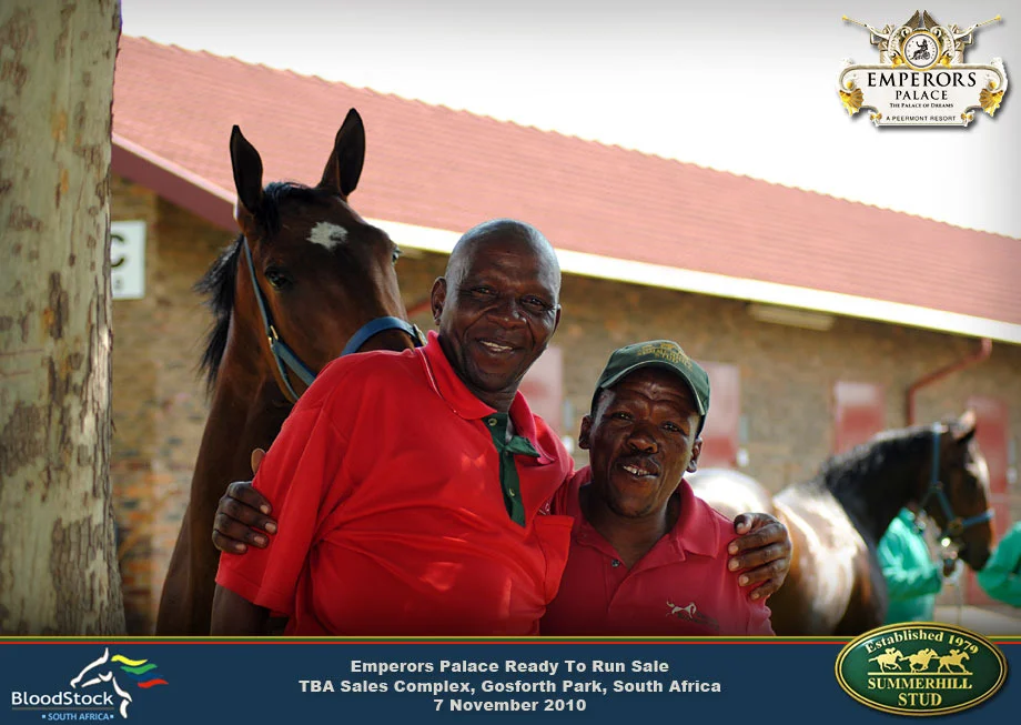 Thoroughbred Race Horse Sale 1