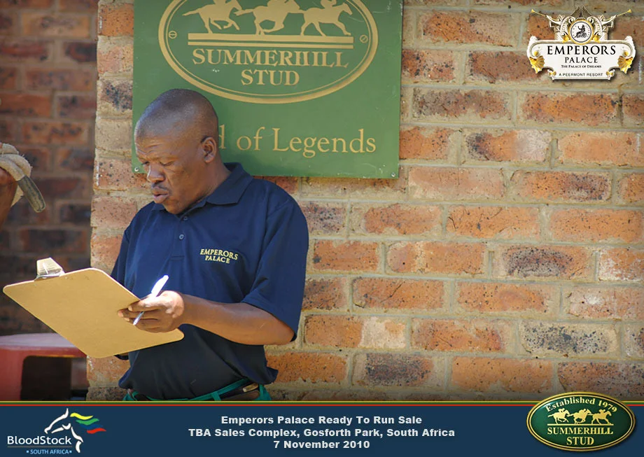 Thoroughbred Race Horse Sale 31