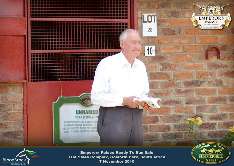 Race Horse Sale Ormond Ferraris