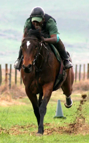 gallop-198b.jpg