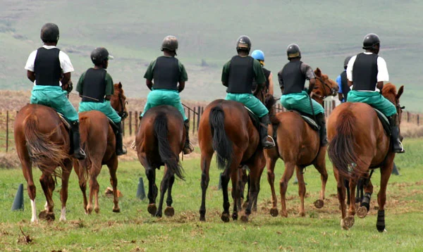 gallop-240b.jpg