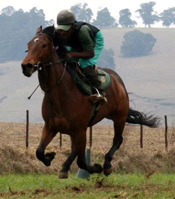 gallop-055b.jpg