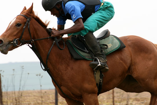 gallop-040b.jpg