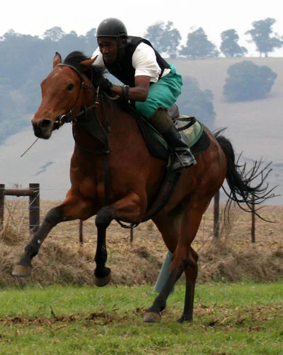 gallop-049b.jpg