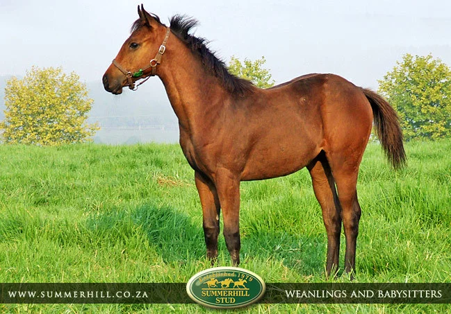 summerhill-weanlings-&-babysitters-29.jpg