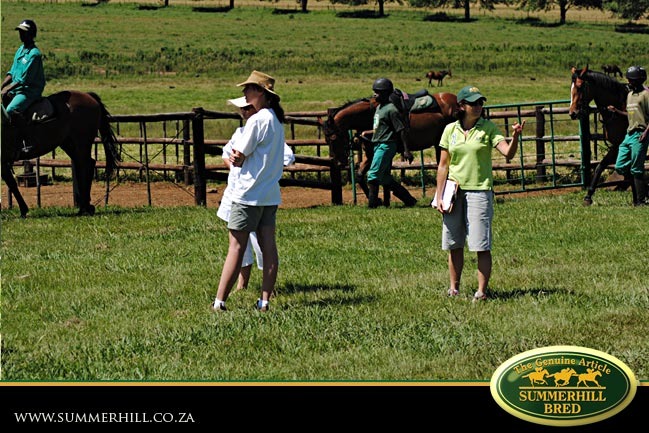horses-in-training-9.jpg