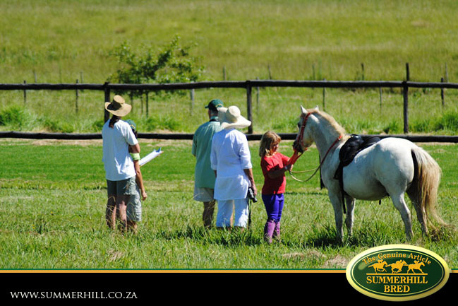 horses-in-training-21.jpg