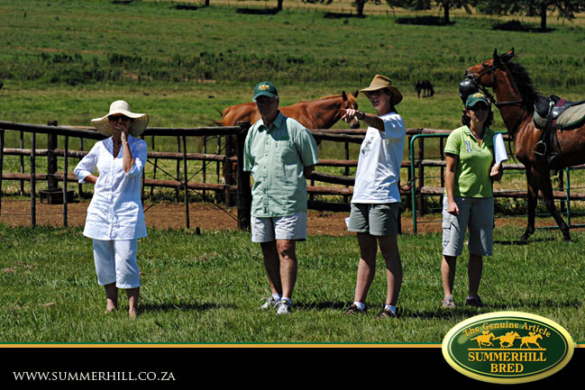 horses-in-training-20.jpg