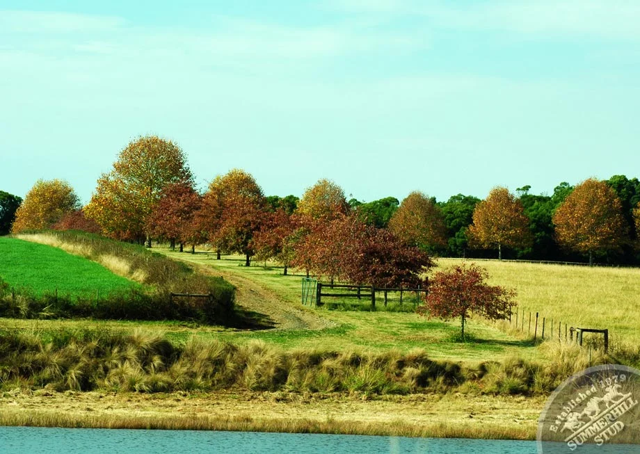 Mooi River Autumn 15