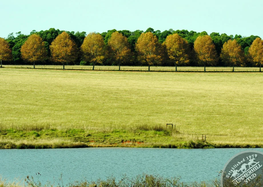 Mooi River Autumn 11
