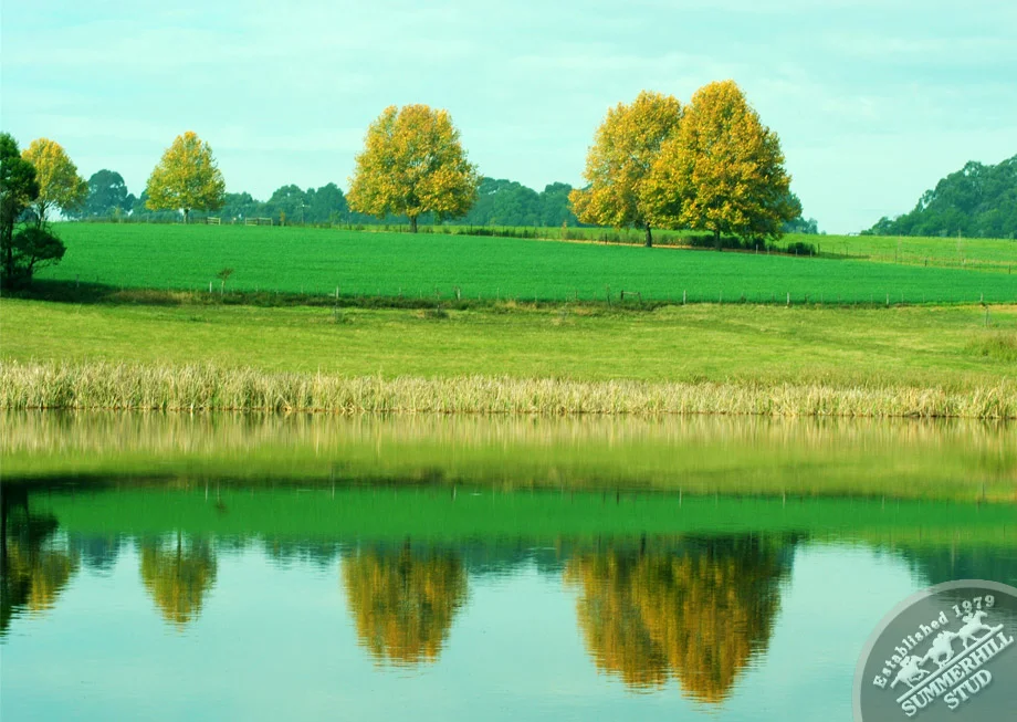 Mooi River Autumn 20