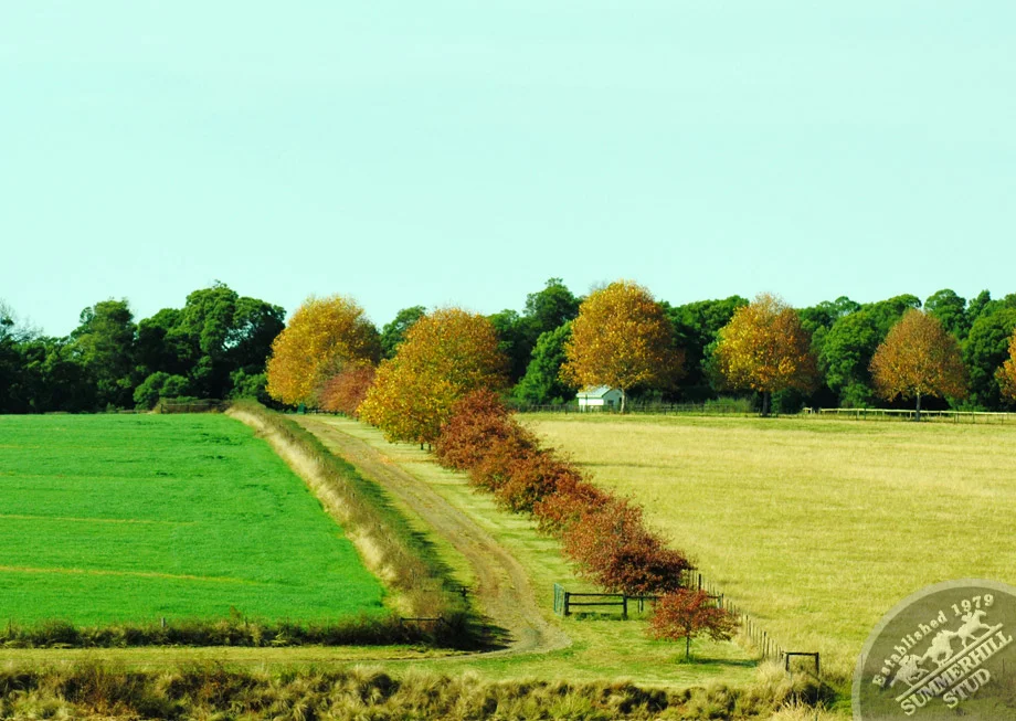 Mooi River Autumn 10