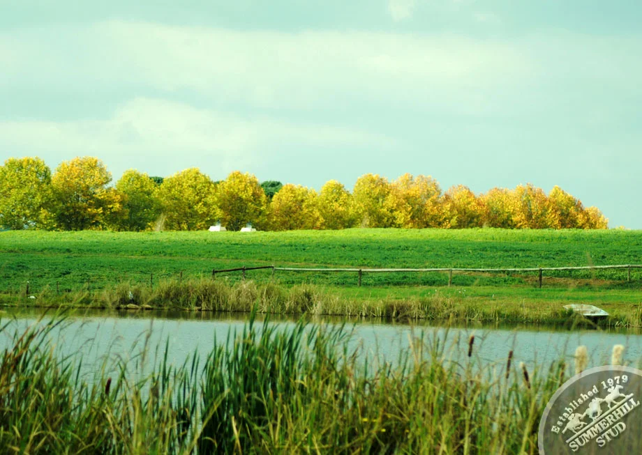 Mooi River Autumn 3