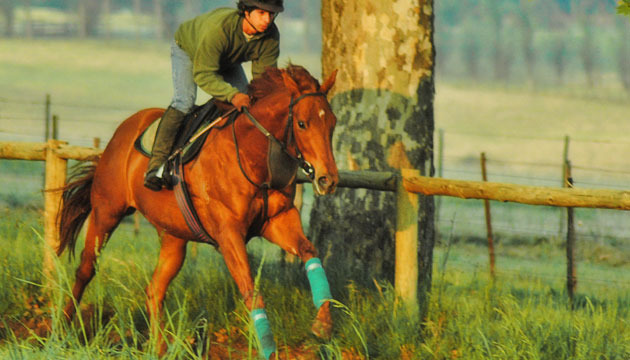 ricardo-christian-r2r-2012.jpg