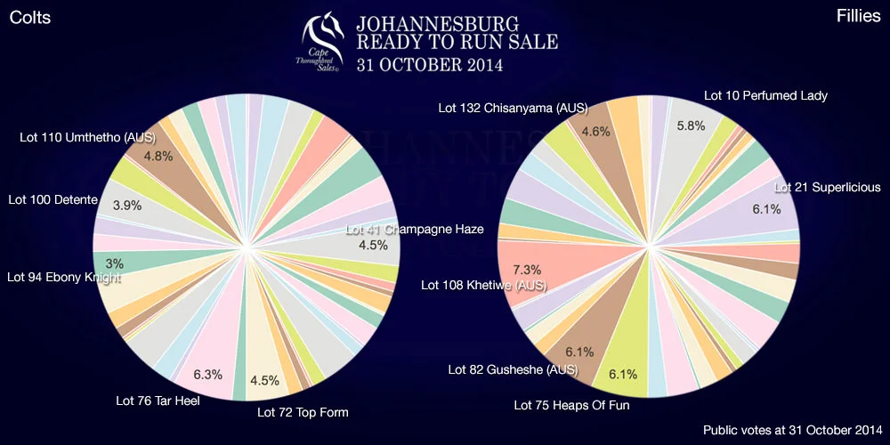 Johannesburg Ready To Run Sale Public Vote 31 October 2014