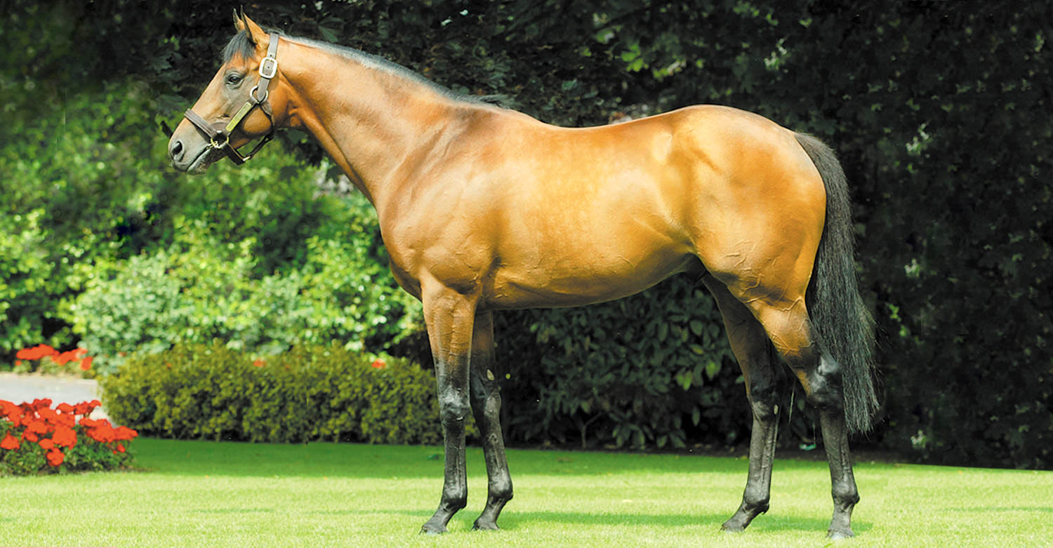 Rock Of Gibraltar / Coolmore Stud (p)