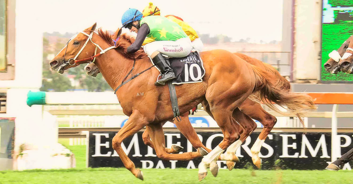 Rich Girl - Emperors Palace Ready To Run Cup / JC Photographics (p)