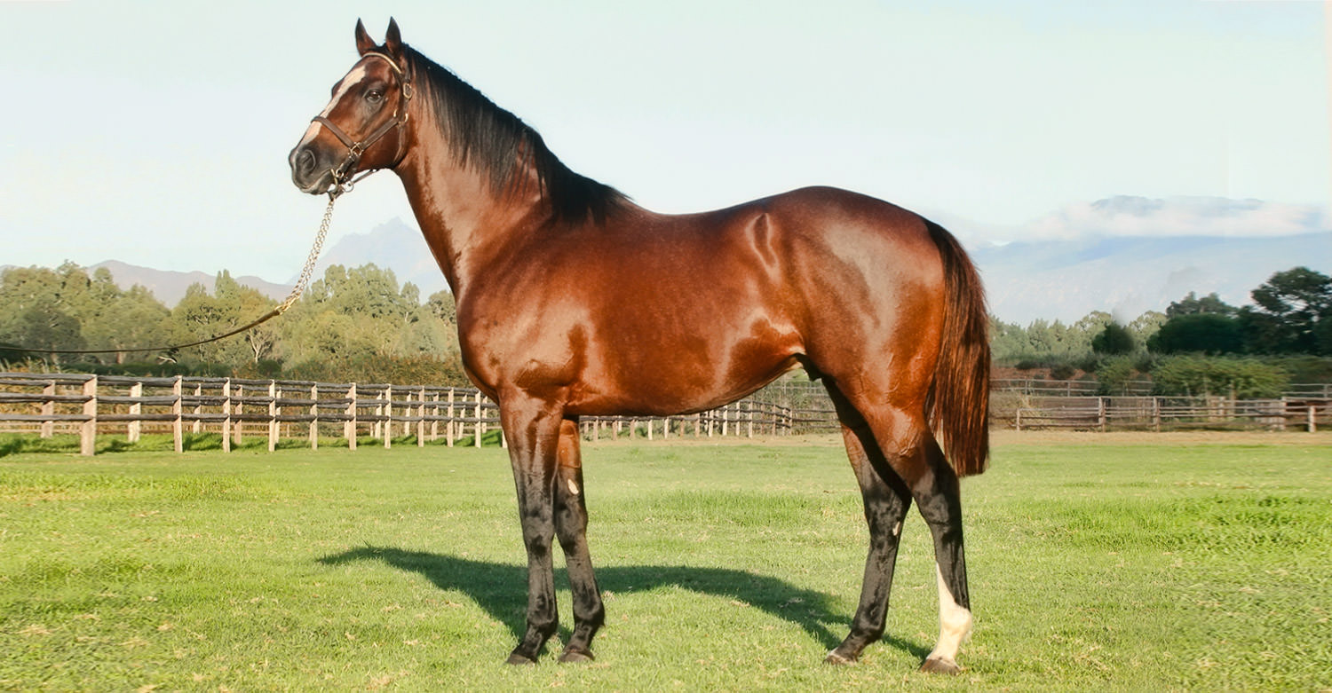 Jet Master / Racing South Africa (p)