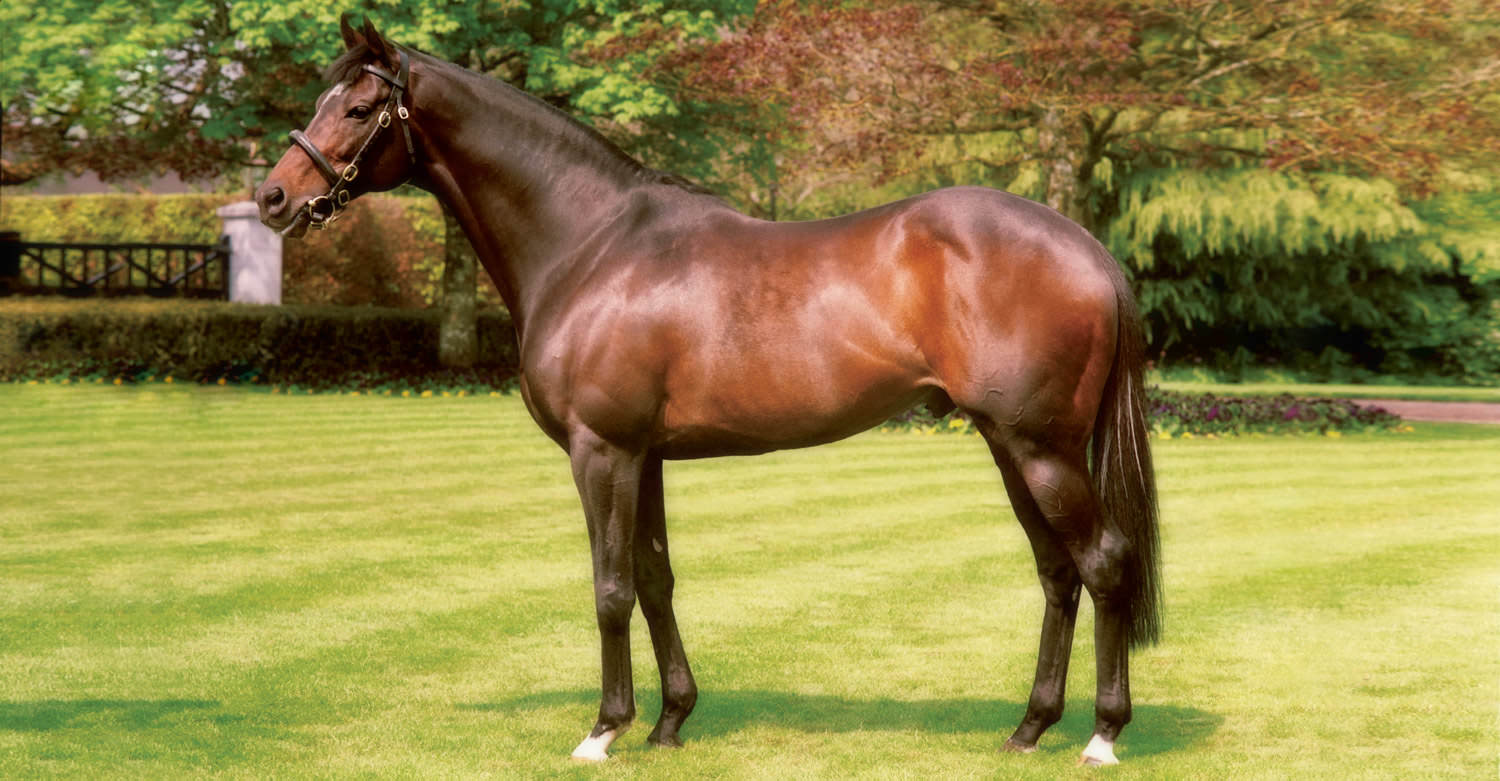 High Chaparral / Coolmore Stud (p)