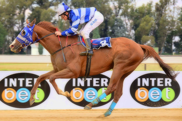 Summerhill-bred Uncle Tommy crowned Champion Sand Specialist / JC Photos (p)