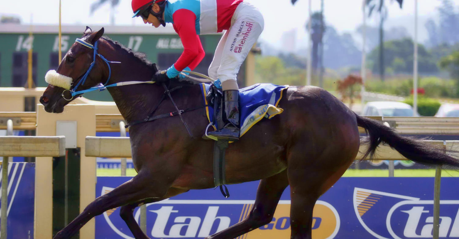 Admiral's Eye (Admire Main - Surfer's Eye) / Gold Circle (p)
