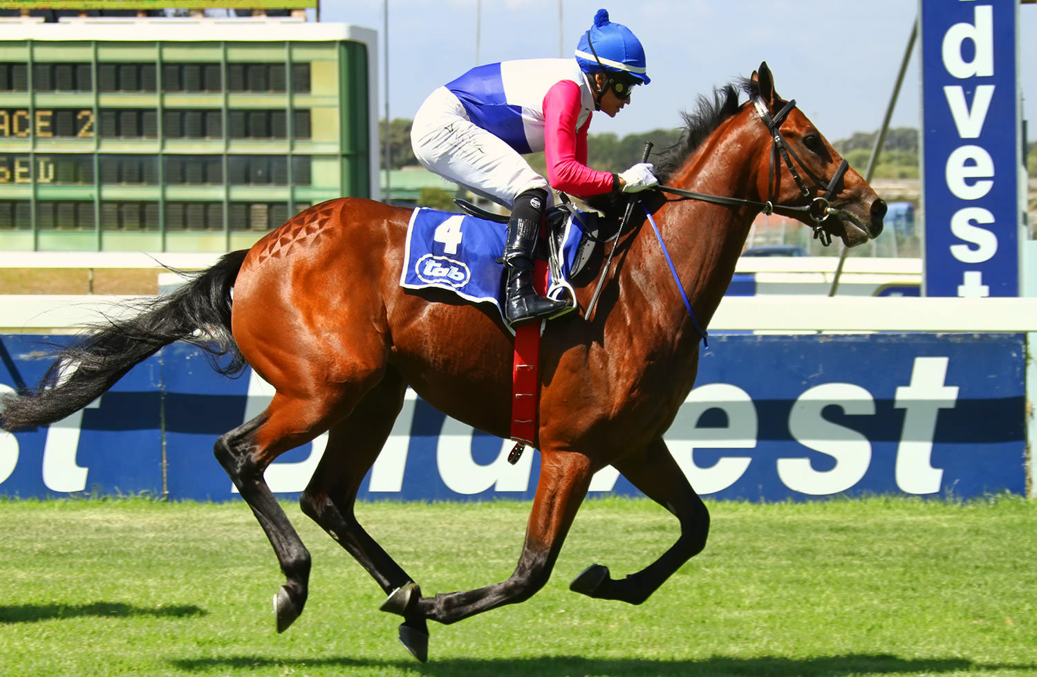 Jet Air / Equine Edge (p)
