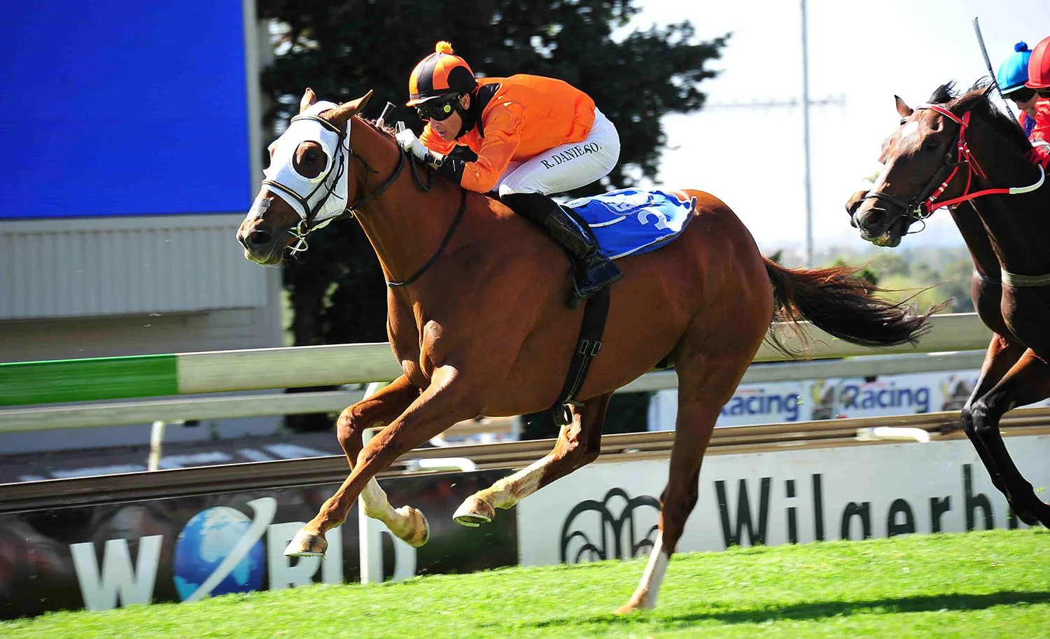 arch-rival-horse.jpg