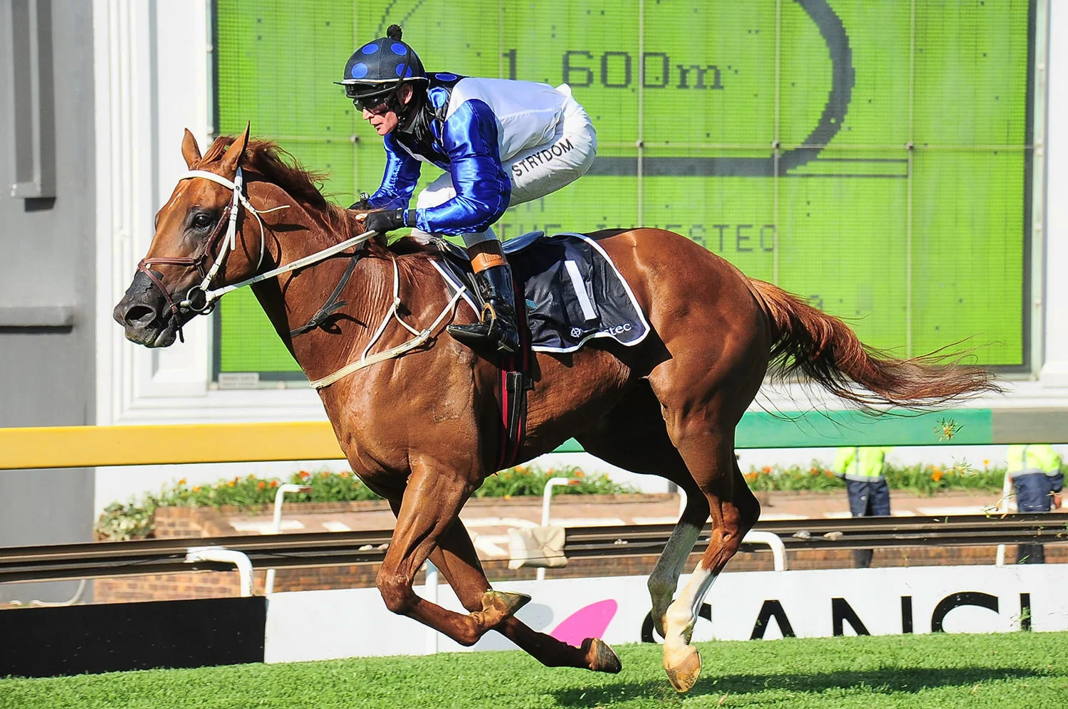 Willow Magic (Dubawi) / The Dingaans (Grade 2)