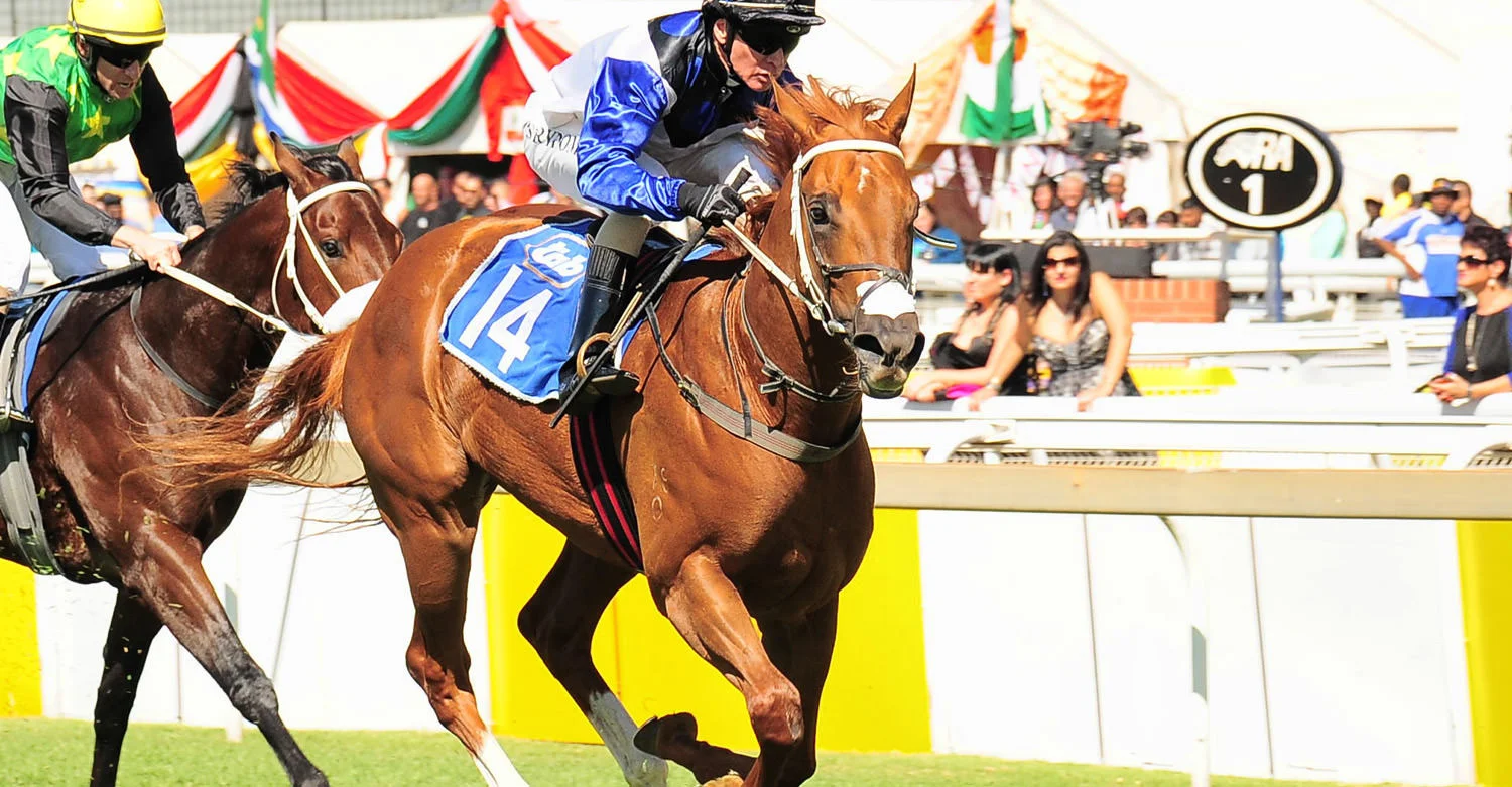 Willow Magic (Dubawi)
